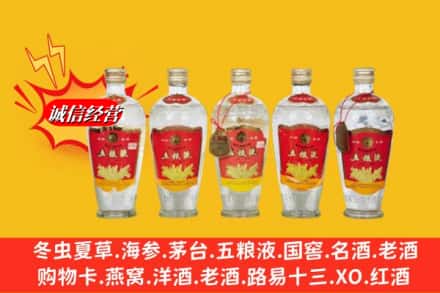 黄山休宁回收老五粮液