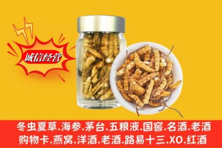 黄山休宁回收散虫草