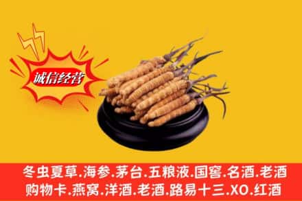 黄山休宁求购回收虫草多少钱每克